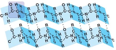 Examples of secondary structure