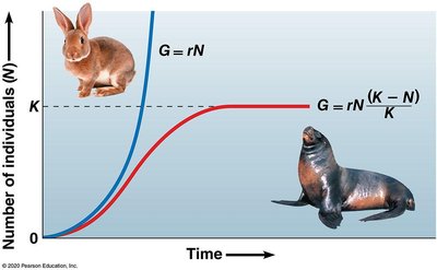 Exponential vs logistic growth
