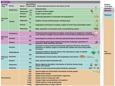 Geologic time scale table