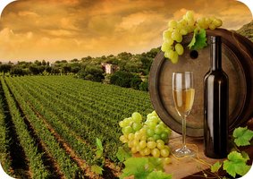 Vineyard and wine, representing alcohol fermentation by yeast