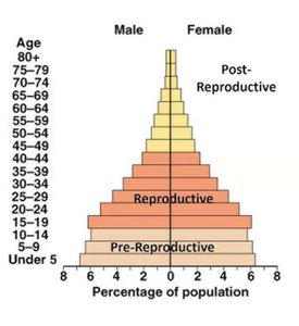 Age structure graph showing pre-reproductive, reproductive, and post-reproductive age groups