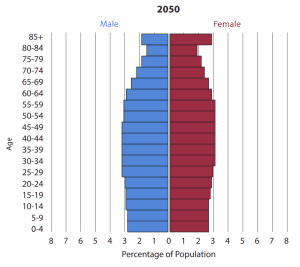 Projected age structure for 2050
