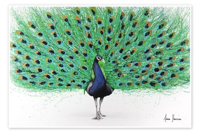 Peacock displaying courtship behavior