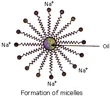 Formation of micelles with Na+ and oil