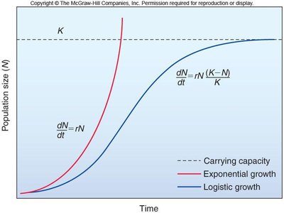 Exponential and logistic growth curves