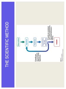 Example of scientific method