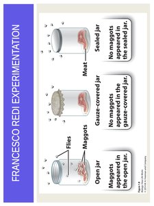 Louis Pasteur experiment