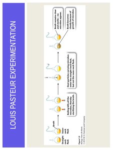 Observation in science