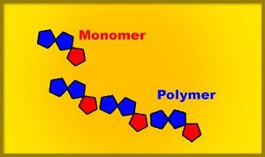 Monomer and polymer diagram