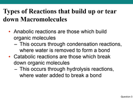 Types of reactions that build up or tear down macromolecules