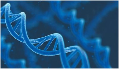 DNA double helix illustration