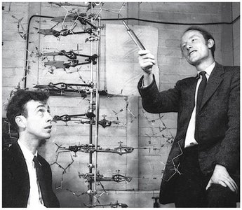 Scientists with DNA model