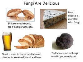 Examples of edible fungi and their uses in food and beverages