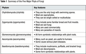 Table summarizing the five major phyla of fungi and their key features