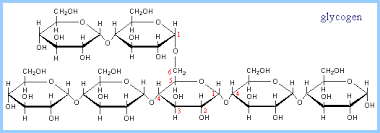 Peptide bond formation
