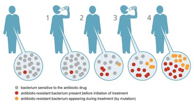 Evolution and antibiotic resistance