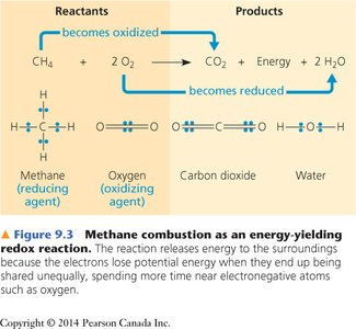 Methane combustion redox reaction