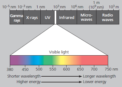 Electromagnetic spectrum and visible light