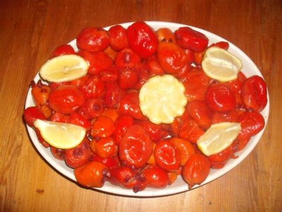 Pyura chilensis dish