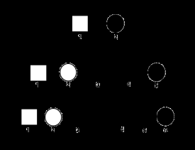 Pedigree chart showing inheritance of a genetic trait