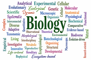 Word cloud of biology-related terms