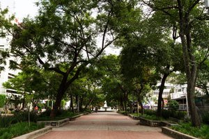 Urban ecosystem