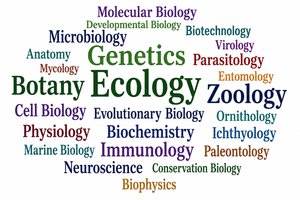 Word cloud of biology subfields
