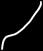 Oligodendrocyte electron micrograph