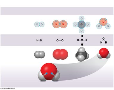 Covalent bonding and molecular models