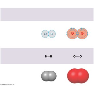 Molecular models of hydrogen and oxygen