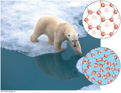 Ice and liquid water molecular structure