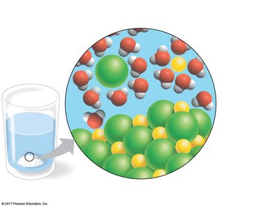 Water dissolving salt, showing hydration shells