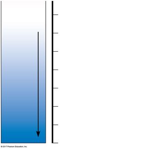 Basic range of the pH scale