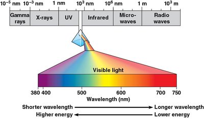 Electromagnetic spectrum with visible light highlighted