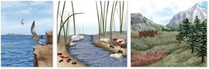 Geographic isolation and speciation