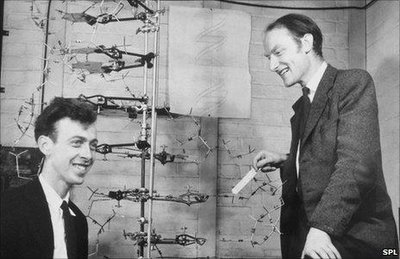 Watson and Crick with DNA model