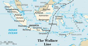 Portrait of Alfred Russel Wallace and the Wallace Line