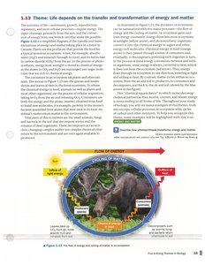 Example of interactions within a biological system