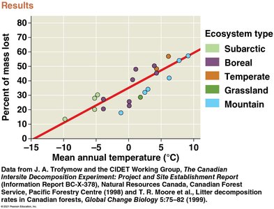 Graph showing decomposition rates in different ecosystems