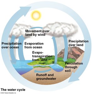 Diagram of the water cycle