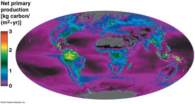 Global map of net primary production