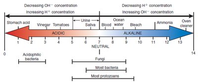 pH scale and bacterial growth