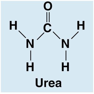 Urea structure