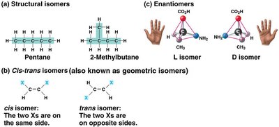 Three types of isomers: structural, cis-trans, enantiomers