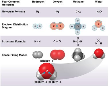 Covalent bonds in hydrogen