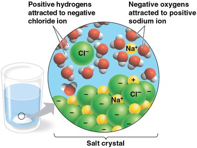 Water dissolving salt crystal