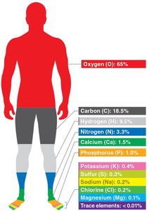 Elements found in the human body