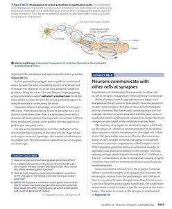 Propagation of action potentials in myelinated axons