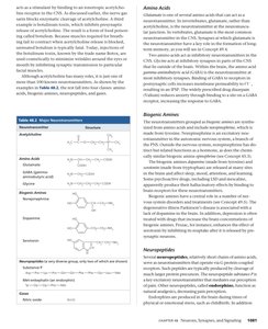 Major neurotransmitters and their structures