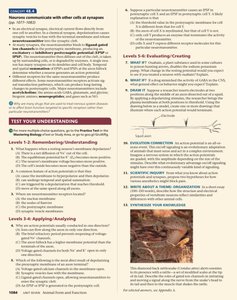 Test your understanding: neuron structure